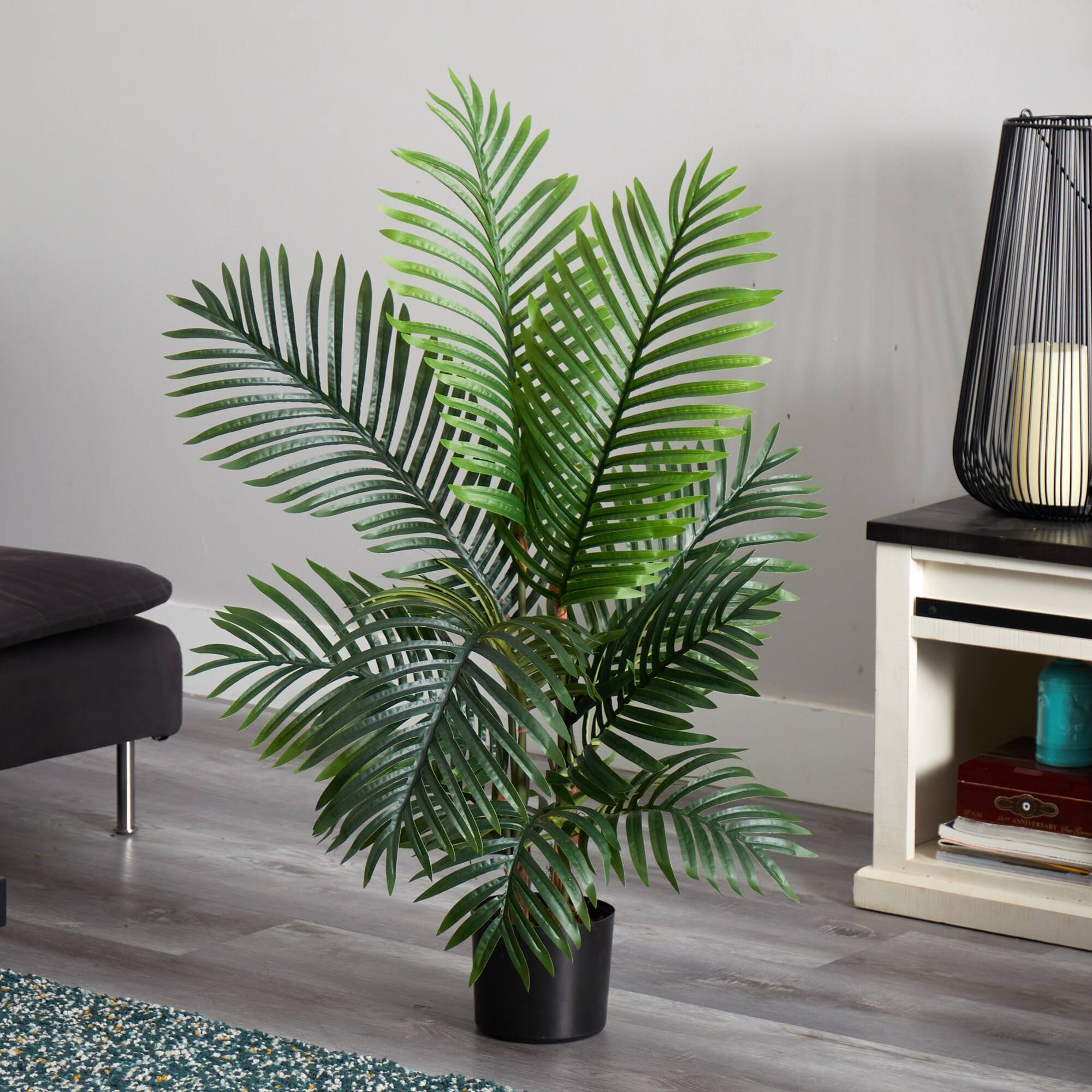 4ft. Potted Paradise Palm Tree